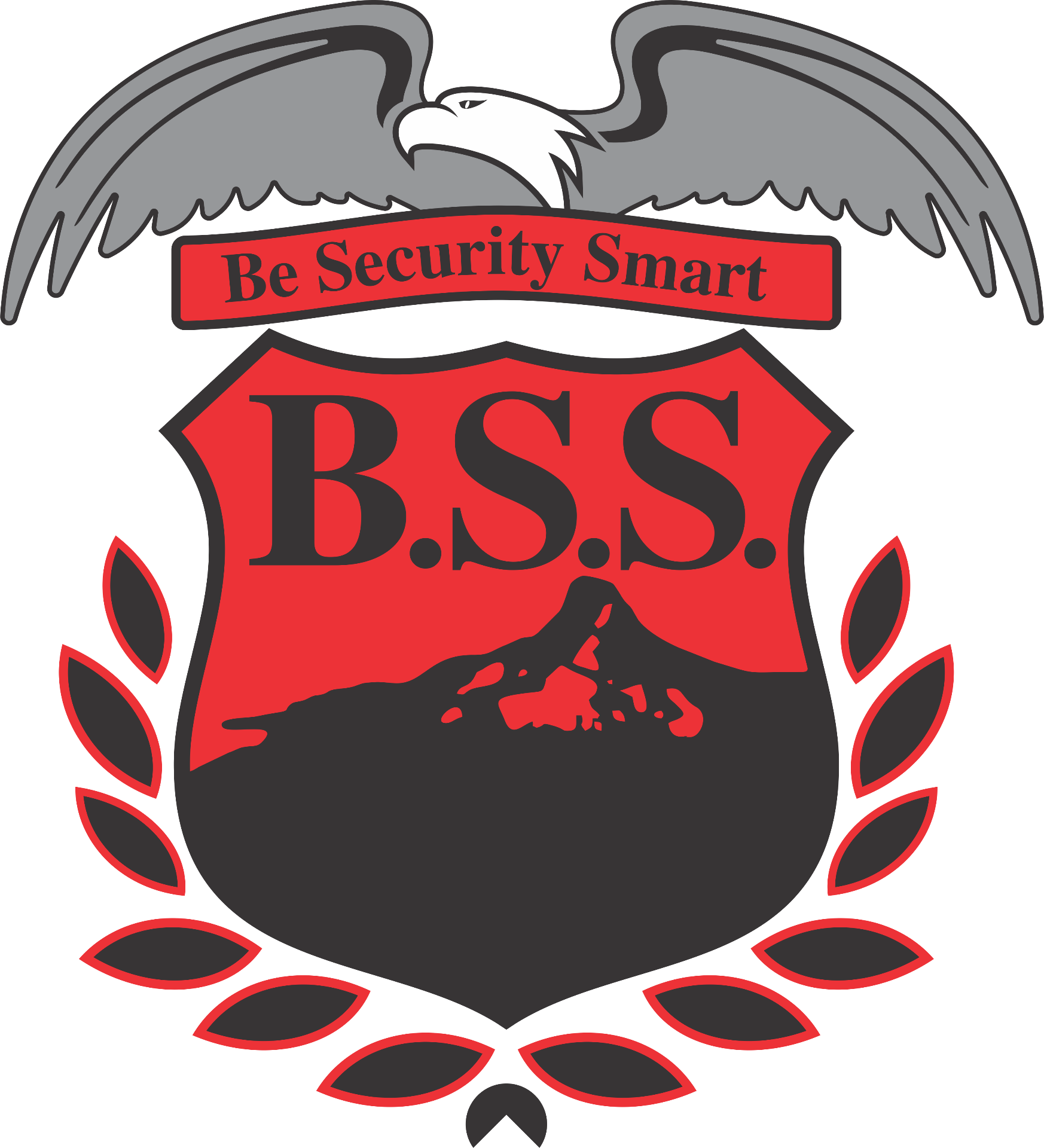 BSS — Be Security Smart